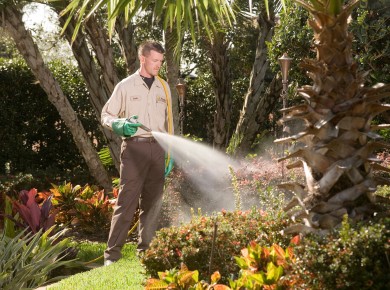 Image for Drake Lawn & Pest Control with ID of: 3078841