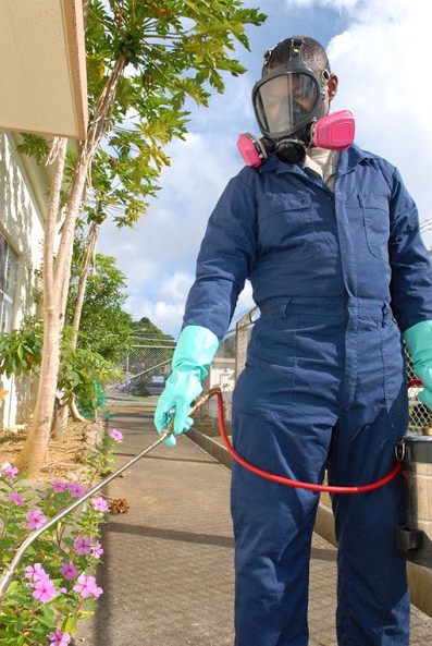 Image for Instant Pest Solutions with ID of: 3080189