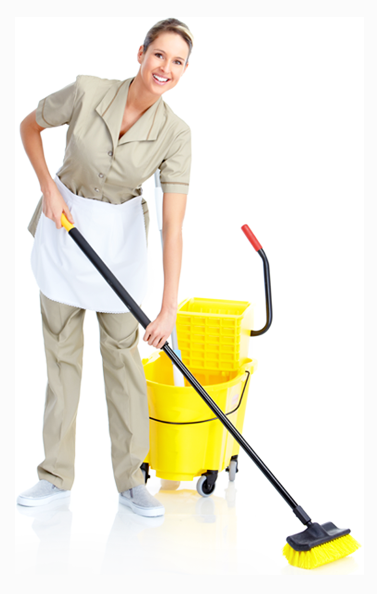 Image for WHITE OWL - Cleaning Services with ID of: 3081084