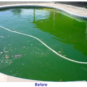 Image for Aqua Wizard Pool Service with ID of: 3081451
