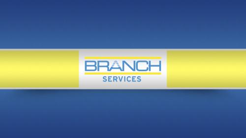 Image for Branch Services with ID of: 3083411
