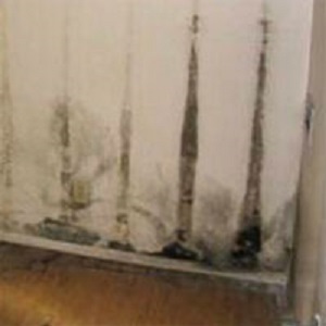 Image for ABC Water Damage Repair with ID of: 3087983