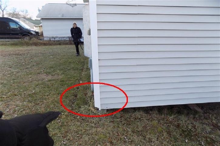Image for Schenectady NY Home Inspections LLC with ID of: 3090535