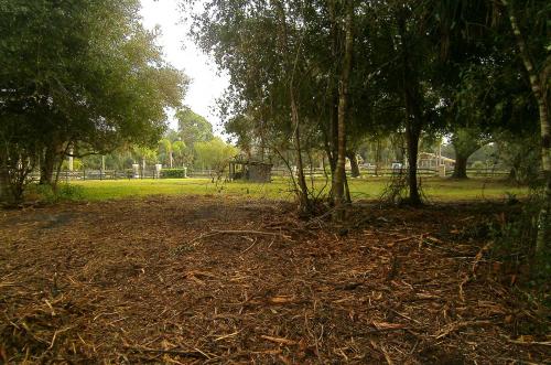 Image for Orr's Mulching & Land Clearing with ID of: 3090874