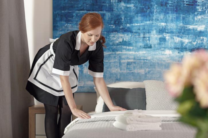 Image for Maids in Brown with ID of: 3091301