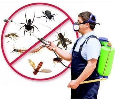 Image for Pest Control Huntington NY with ID of: 3092592
