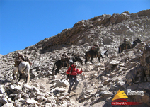 Image for Aconcagua.One with ID of: 3092632