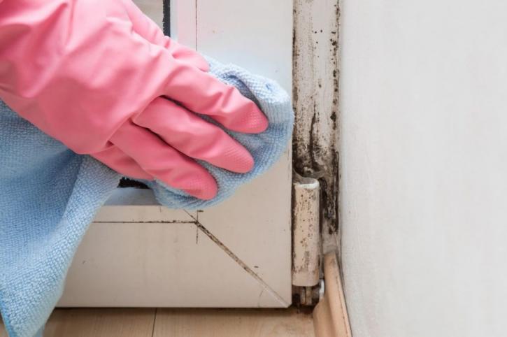 Image for Mowatt Mold Removal LLC with ID of: 3094907