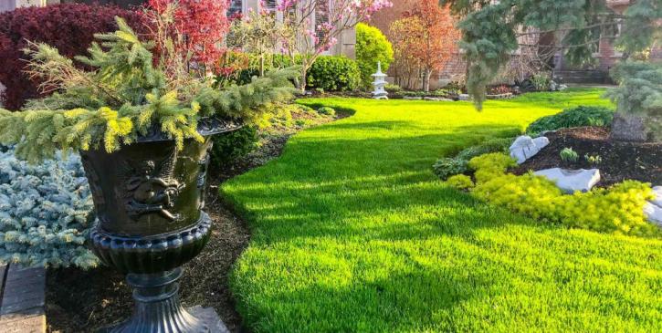 Image for Envision Landscape and Maintenance with ID of: 3096945