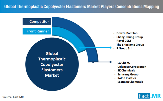 Image for Thermoplastic Copolyester Elastomers Demand as Plastic-Rubber and Metal-Rubber Substitute Growing, Finds Fact.MR with ID of: 3097949