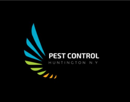 Image for Pest Control Huntington NY with ID of: 3099856