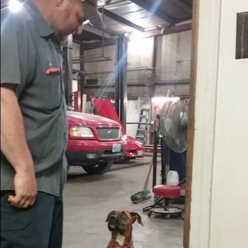 Image for Bulldog Towing & Auto Repair with ID of: 3100389