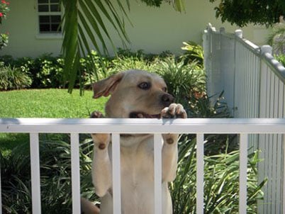 Image for Martin Fence Co with ID of: 3101451