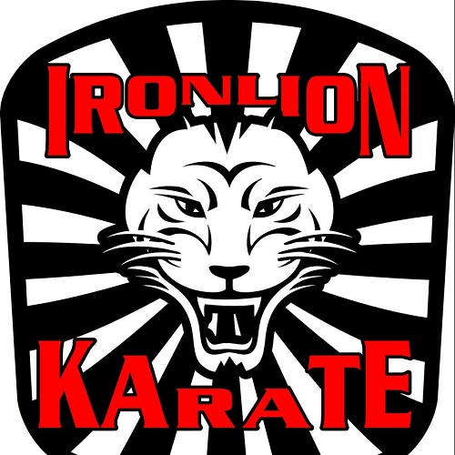 Image for Iron Lion Karate with ID of: 3101820