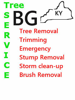 Image for Tree Service BG with ID of: 3102969