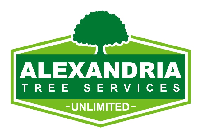 Image for Alexandria Trees & Stumps with ID of: 3103107