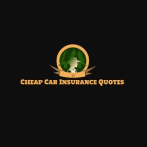 Image for Cheap Car Insurance Montgomery AL with ID of: 3105197