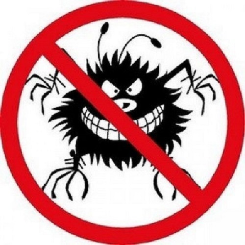 Image for OCP Bed Bug Exterminator Oklahoma City with ID of: 3105243