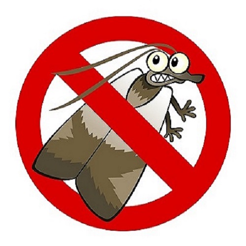 Image for OCP Bed Bug Exterminator Oklahoma City with ID of: 3105244