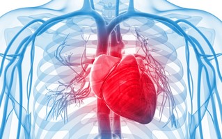 Image for Deathbed Relief by IV with ID of: 3105918