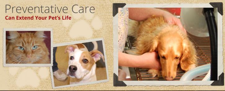 Image for Alpine Pet Care Center with ID of: 3107328
