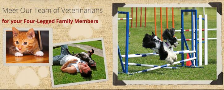 Image for Alpine Pet Care Center with ID of: 3107333
