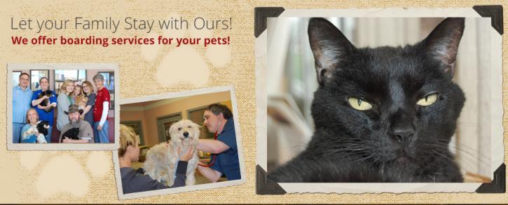 Image for Alpine Pet Care Center with ID of: 3107341