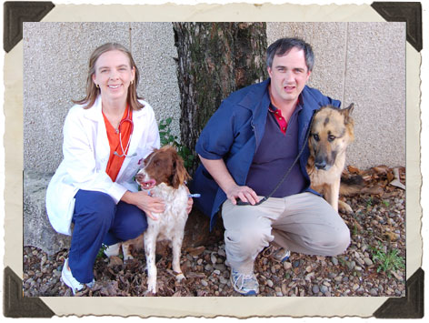 Image for Alpine Pet Care Center with ID of: 3107346