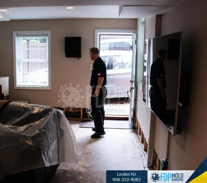 Image for FDP Mold Remediation with ID of: 3107564