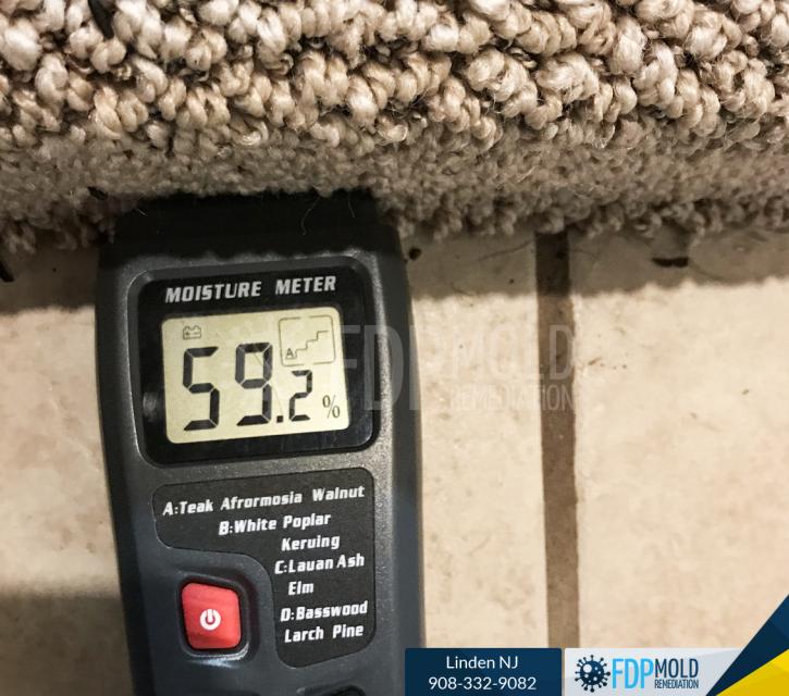 Image for FDP Mold Remediation with ID of: 3107574