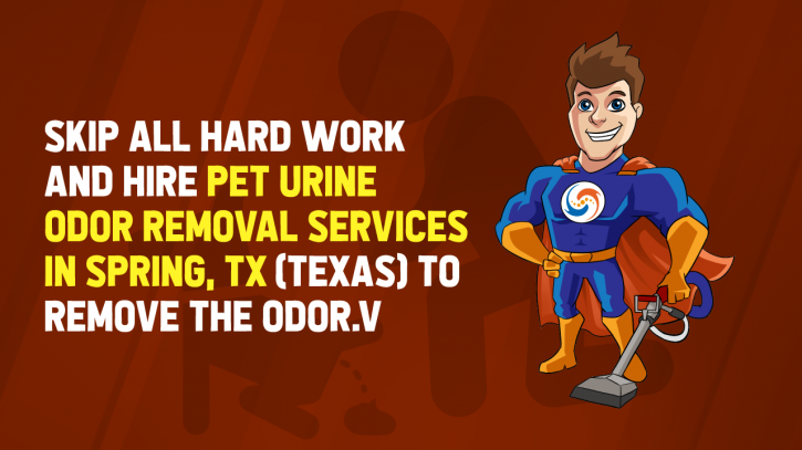Image for 5 Best Hacks to Remove Dog Urine Smell with ID of: 3110679