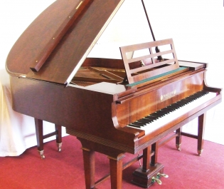 Image for Wadebridge Music with ID of: 3111075