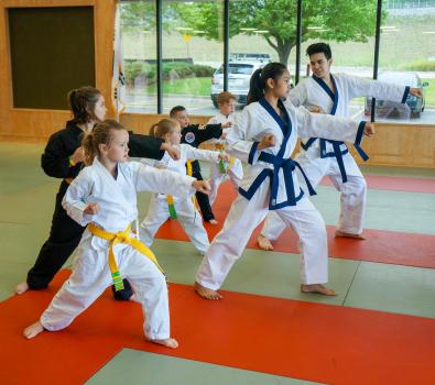 Image for Peak Martial Arts with ID of: 3112885