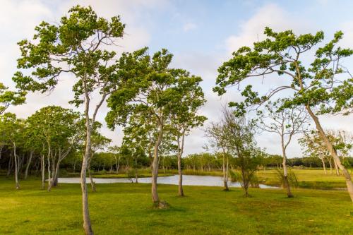 Image for Circle W RV Ranch with ID of: 3113084