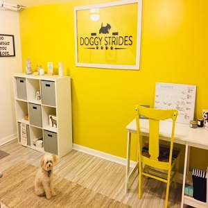 Image for Doggy Strides with ID of: 3113627
