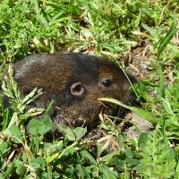 Image for Above & Beyond Wildlife with ID of: 3115335
