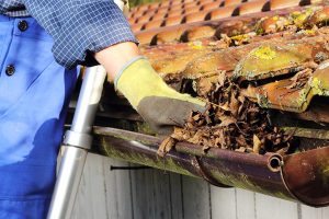 Image for FlowFix Plumbing with ID of: 3115410