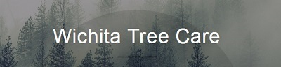 Image for Wichita Tree Care with ID of: 3115806