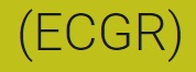 Image for Access Pro Gates Repairs Services with ID of: 3116051