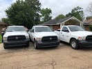 Image for Resolve Pest Control with ID of: 3116611