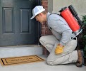 Image for Resolve Pest Control with ID of: 3116612