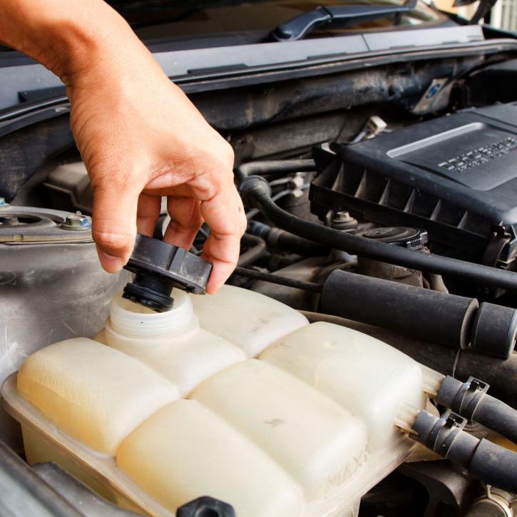 Image for Express Lube Service Center with ID of: 3117487