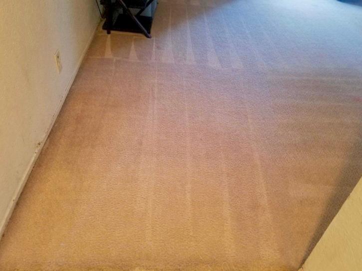 Image for Home Pride Rug Cleaning with ID of: 3121848