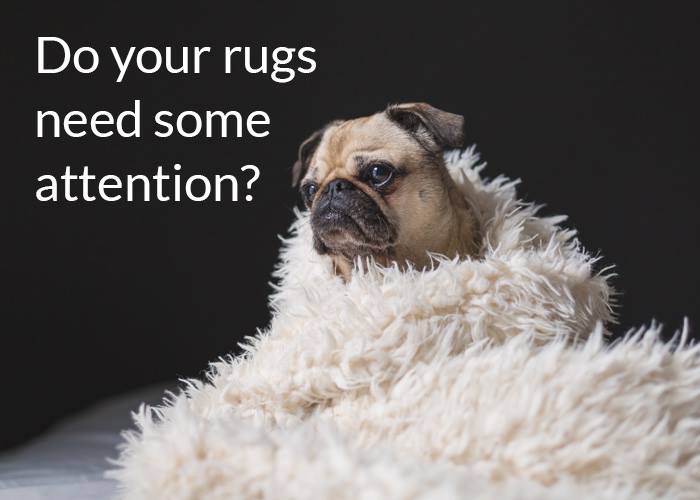 Image for Home Pride Rug Cleaning with ID of: 3121851