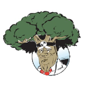 Image for Nabor's Tree Service Chattanooga with ID of: 3122026