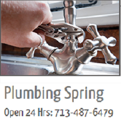 Image for Plumbing Repair & Installation Services Spring with ID of: 3124847