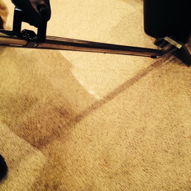 Image for Breen Carpet Cleaning & Maintenance with ID of: 3125312