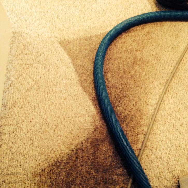 Image for Breen Carpet Cleaning & Maintenance with ID of: 3125316