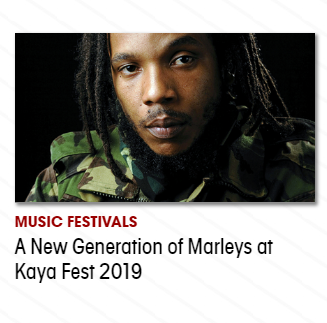Image for Miami New Times with ID of: 3126508