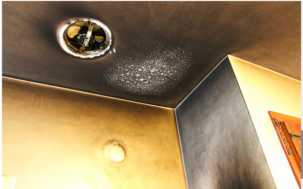 Image for Water Damage Services El Cajon with ID of: 3129376